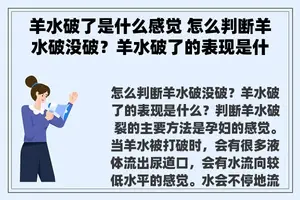 羊水破了是什么感觉 怎么判断羊水破没破？羊水破了的表现是什么？