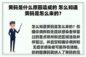 黄码是什么原因造成的 怎么知道黄码是怎么来的？