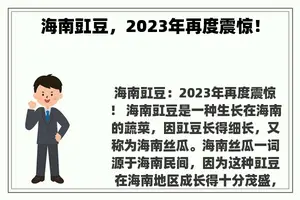 海南豇豆，2023年再度震惊！