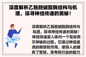 深度解析乙酰胆碱酯酶结构与机理，探寻神经传递的奥秘！