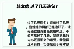 韩文德 过了几天造句？