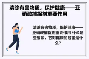 清除有害物质，保护健康——亚硝酸捕捉剂重要作用