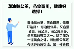 潮汕鹅公英，药食两用，健康好选择！