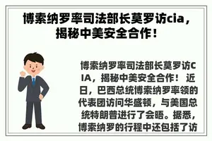 博索纳罗率司法部长莫罗访cia，揭秘中美安全合作！