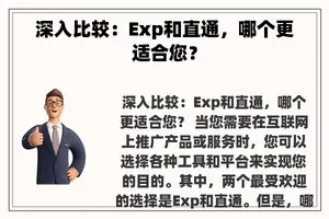 深入比较：Exp和直通，哪个更适合您？