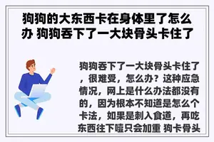 狗狗的大东西卡在身体里了怎么办 狗狗吞下了一大块骨头卡住了，很难受，怎么办？