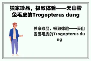 独家珍品，极致体验——天山雪兔毛皮的Trogopterus dung