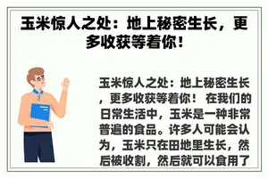 玉米惊人之处：地上秘密生长，更多收获等着你！