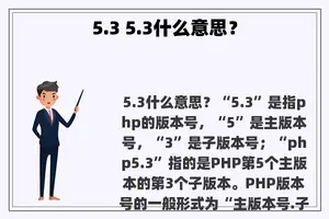 5.3 5.3什么意思？