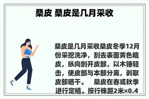 桑皮 桑皮是几月采收